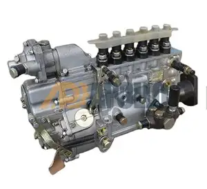 Pompe à huile Diesel haute pression haute Performance pièces de moteur Weichai pompe d'injection de carburant 612601080575 pour WD615 Wp10g220e23