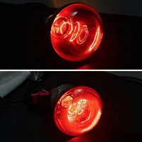 Lampe chauffante infrarouge étanche et épaissie pour l'élevage de porcelets, poussins et volailles