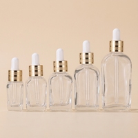 Flacon compte-gouttes carré en verre dépoli personnalisé de 10 ml, 20 ml, 30 ml, 50 ml, 100 ml avec bouchon à vis pour emballage cosmétique d'huiles essentielles et de sérums