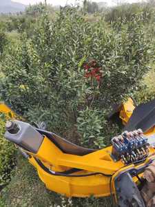 Pinza Hidráulica para Árboles de Excavadora, Accesorio para Trasplante de Árboles de Jardín, Equipo de Elevación y Manipulación de Árboles de Vivero - Product Image 1