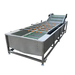 Automatic Fruit Cleaning Grading Line Lemon Washing Drying And Waxing Machine Equipment Lemon Washing Machine