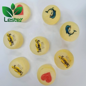 Impresora de Alimentos LSTA3A4-F950 2024, Nueva, de Alta Velocidad de Impresión, para Imprimir Logotipos en Pasteles y Cupcakes, para Tiendas de Alimentos y Bebidas, en Oferta - Product Image 6