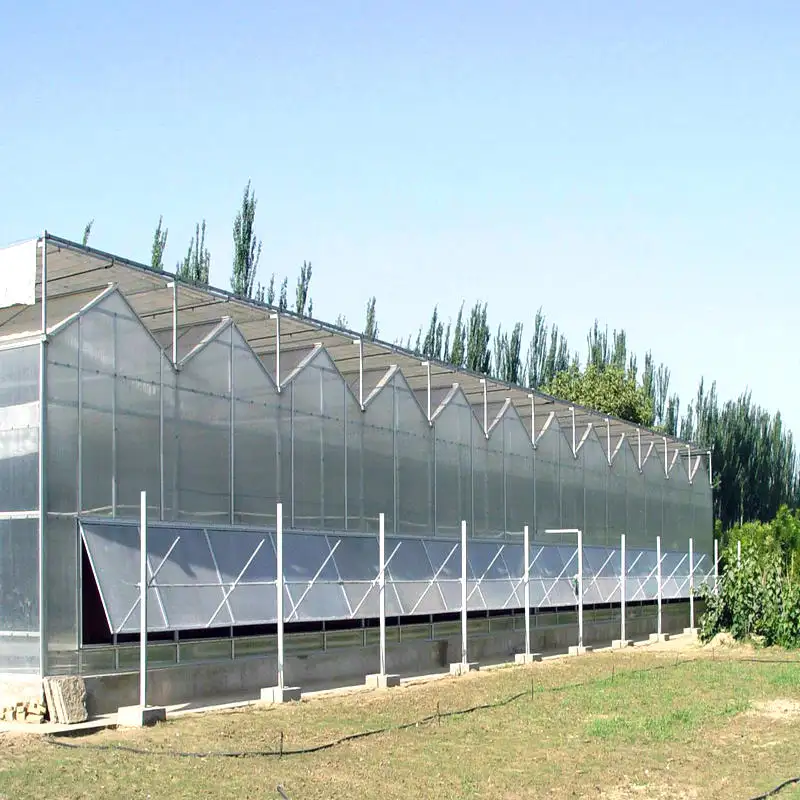 Polycarbonate agricultural greenhouse electric winch with reduction