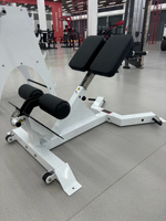 Équipement de fitness personnalisé pour salle de sport, chaise romaine réglable, extension dorsale hyper, banc d'exercice d'extension dorsale à 45 degrés