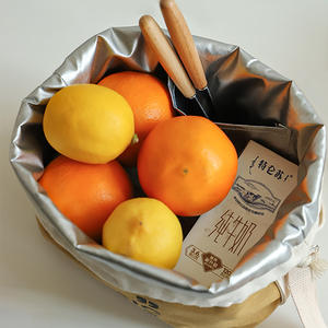 Sac à déjeuner classique en toile avec cordon de serrage, 8,46x5,12x9,05 pouces, isolé et portable, pour les employés de bureau et les étudiants - Product Image 4