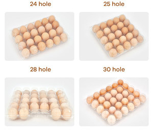 Trong Suốt 30-Di Động Nhựa Trứng Carton Vật Liệu Tái Chế Hộp Trứng Thân Thiện Với Môi Hộp Nhựa - Product Image 6