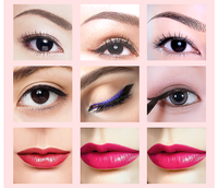 Encre de tatouage, lèvres, sourcils, maquillage Permanent, Microblading, peinture, Pigment OEM, henné, Eyeliner, encre