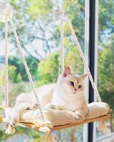 Chat en bois perchoir fenêtre seuil hamac lit 4 ventouses fortes coussin doux léger Portable écologique rustique intérieur animal de compagnie