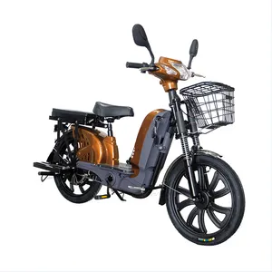 road runner e bike electric scooters powerful adult with seat