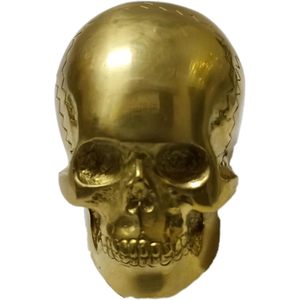 Mango de bastón con forma de calavera Vintage, empuñadura de Palma náutica con puntas de repuesto para peso de papel, uso como accesorio único para bastones - Product Image 2