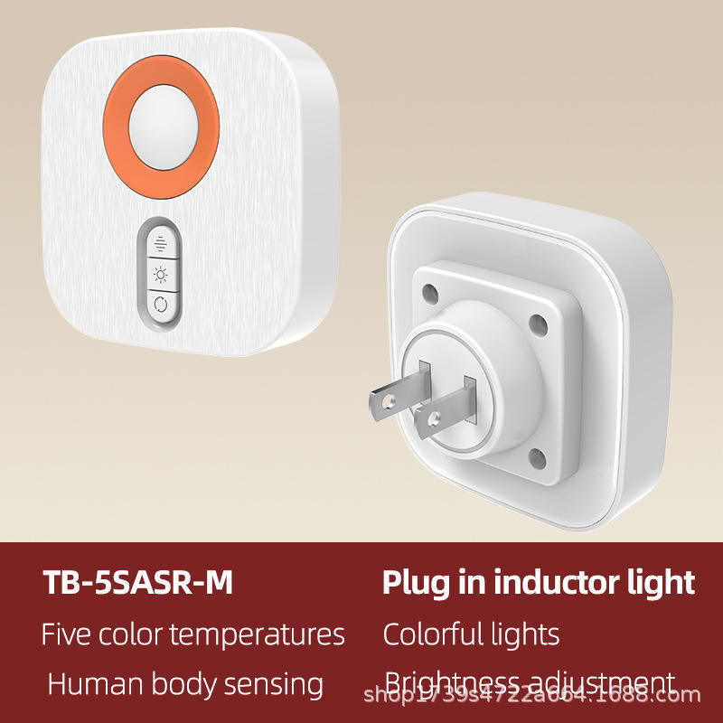 ปลั๊กไฟแบบอเมริกัน