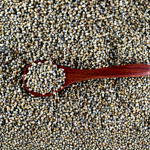 Fournisseur indien fiable de bajra - Product Image 1