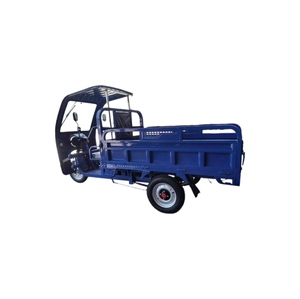 Triciclo Elettrico Economico 60V <span class=keywords><strong>a</strong></span> Tre Ruote con Tetto Aperto, Triciclo Motorizzato da Carico per Uso Urbano - Product Image 3