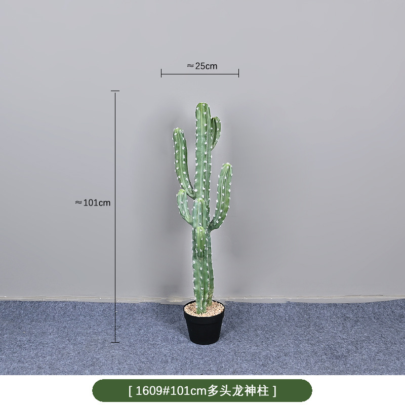 1609 #100cm multi dragón Pilar