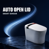 WC intelligent avec siège chauffant, lavage féminin, double chasse d'eau, évacuation par siphon en S, fixation au sol, télécommande, séchage à l'air chaud