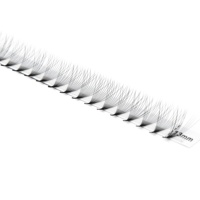 Fans pré-fabriqués de haute qualité Extension de cils 3D 4D 5D 6D 8D 10D 12D 14D 16D 18D 20D Grands plateaux Ventilateurs préfabriqués Lash