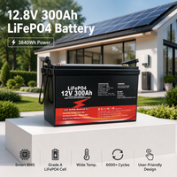 Batterie au phosphate de fer et de lithium 100Ah 200Ah 300Ah 314Ah 400Ah 12V 24V avec BMS, alimentation LiFePO4, batterie de stockage d'énergie domestique
