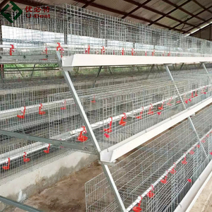 Cages à poulets automatiques à immersion à chaud de <span class=keywords><strong>type</strong></span> <span class=keywords><strong>A</strong></span> fournies par l'usine Système de ponte de batterie Équipement de ferme de poulet Mangeoires pour animaux - Product Image 1