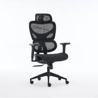 Chaise de bureau ergonomique haut de gamme à dossier fendu, avec maille respirante double couche, appui-tête réglable et soutien lombaire, pivotante
