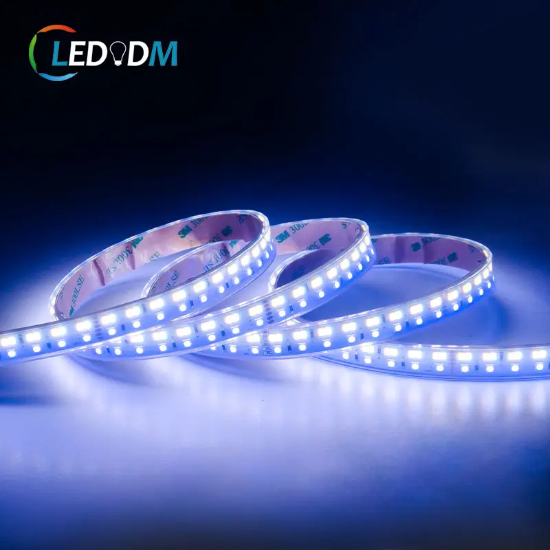 LED Strip Light RGB CCT RGB+WW+WH dimmer chip 3838+2835 SMD Tape 12V 24V Waterproof IP68 3838 flex led strip