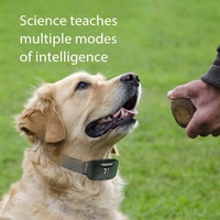 Wasserdichtes Wiederaufladbares Intelligentes Hunde-Bellkontroll-Trainingsgerät Statische Elektrizitätstechnologie 20+ Stunden Akkulaufzeit Magnetisch