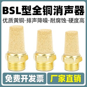 Silencieux Qingze BSL en cuivre pur, dispositif de réduction du bruit, tailles G1/8, G1/4, G3/8, G1/2, G3/4, G1, DN6, DN8, DN10, DN15, DN20, DN25 - Product Image 4