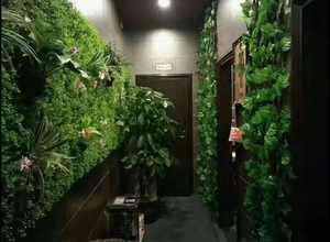 الجدار الخضرة الاصطناعي الجدار العمودي العشب الاصطناعي وهمية الجدار شنقا النبات للزينة في الأماكن المغلقة/في الهواء الطلق - Product Image 5