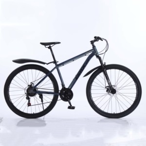 Hot Sale 29er Mountain for Men Large Wheel 29 Inch Aluminum Fork <b>Disc</b> System 21 Speed Gears - Product Image 1