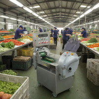 Industriële 2-kops groente-snijmachine voor bladgroenten, wortelgroenten, in plakjes, chips, schijfjes, blokjes, 1000 kg/uur, multifunctioneel, veelzijdig