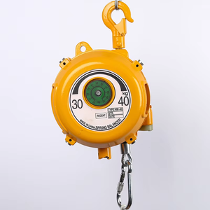 30kg 40kg 50kg 60kg 80kg 100kg 120kg cân bằng tải lò xo treo cân bằng 2.5m đột quỵ - Product Image 2