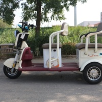 Triciclo Eléctrico Compacto de Larga Duración de Batería, Dimensiones de 140 cm, Motor de 650 W/800 W para Paseos Urbanos Tranquilos