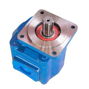 P3112ฮันเซน1163041833ตัน5337993อะไหล่ไฮดรอลิกปั๊มเกียร์ - Product Image 6