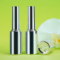 10ml personnalisé vide rond vernis à ongles bouteille argent Chrome colle à ongles conteneur emballage vide Gel vernis bouteille avec brosse 10ml