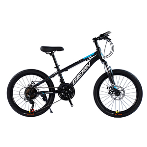 Vélo de montagne avec gros pneus de 20 pouces, 22 pouces, 24 pouces, nouveauté Offre Spéciale, en stock - Product Image 6