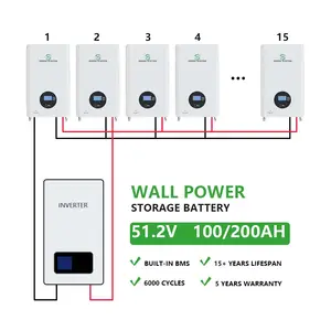 Baterai lithium ion 51.2v 100AH 48V 100AH 5kW 6KW 10KW sistem surya 48v 100AH lifepo4 paket baterai