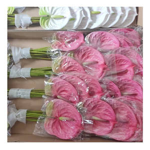 Sıcak satış düğün dekor yapay çiçekler anthureal gerçek dokunmatik anthuflower anthuflower tek çiçek - Product Image 1