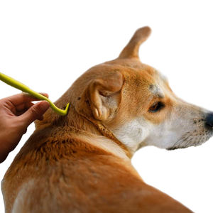 Pinzas <span class=keywords><strong>para</strong></span> el pelo de <span class=keywords><strong>garrapatas</strong></span> de control <span class=keywords><strong>insecticida</strong></span> de alta calidad a estrenar - Product Image 5