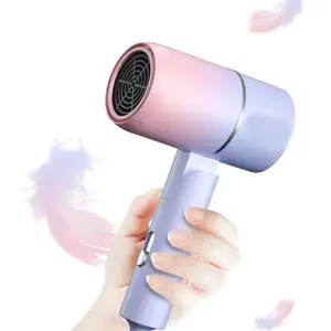 Sèche-cheveux Brosse Sèche-cheveux sur pied Sèche-cheveux pliable