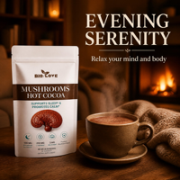 Mélange de boisson au chocolat chaud aux champignons Marque Blanche Magnésium L-Théanine 3mg Mélatonine Favorise le sommeil et la détente Adultes 300g 30 portions