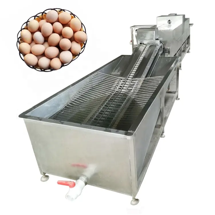 Machine automatique de nettoyage des œufs, machine à laver les œufs de poulet à vendre