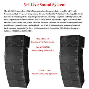 Set di Altoparlanti Line Array Passivi Impermeabili da 12 Pollici 700W, Kit per Esterni, Miglior Sistema Audio Line Array - Product Image 6