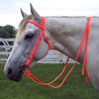 Bride de course équitation en PVC coloré et Durable, équipement de luxe, bride de cheval de Style occidental avec embout métallique