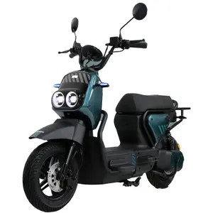 Eec/Ce Chinese Nieuwe Grote Power Volwassen Elektrische Scooter 1500 Met 2000W Elektrische Fiets Elektrische Motorfiets