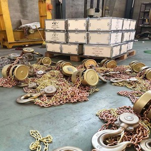 رافعة سلسلة غير مولدة للشرر بسعة 2 طن، معتمدة من HBSQ وBAM وATEX - Product Image 5
