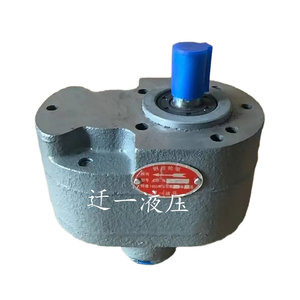 Bomba de Engranajes Hidráulica Serie CB B, CBW 10 B10 24 5 M, Venta Directa de Fábrica - Product Image 3