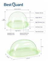 Mejor Protector: Envase Blister de PET Reciclable de 1mm Personalizado para Propagación de Plántulas, Tipo Concha para Iniciadores de Plantas de Hierbas