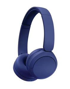 <span class=keywords><strong>WH</strong></span>-<span class=keywords><strong>CH520</strong></span> Auriculares de Diseño Nuevo, Auriculares de Audio Plegables y Ligeros, Auriculares Inalámbricos Over-Ear - Product Image 1
