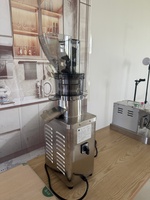 Bron Juicer Originele Extractiemachine Hoge Efficiëntie Fruit- en Groentepers CE Gecertificeerd Op Voorraad voor Groothandelsdistributeurs