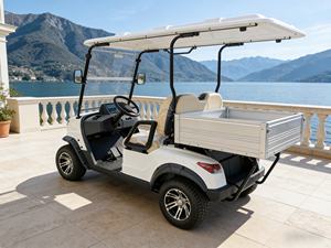 Voiturette de <span class=keywords><strong>golf</strong></span> électrique personnalisée 2 places avec coffre de chargement pour les excursions en station balnéaire et en bord de <span class=keywords><strong>lac</strong></span> - Product Image 4