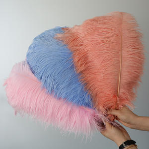 Plumas de avestruz teñidas de 35-40cm para guía de <span class=keywords><strong>camino</strong></span> de boda decoración de iluminación de arte Floral accesorios de escenario grandes coloridos - Product Image 6